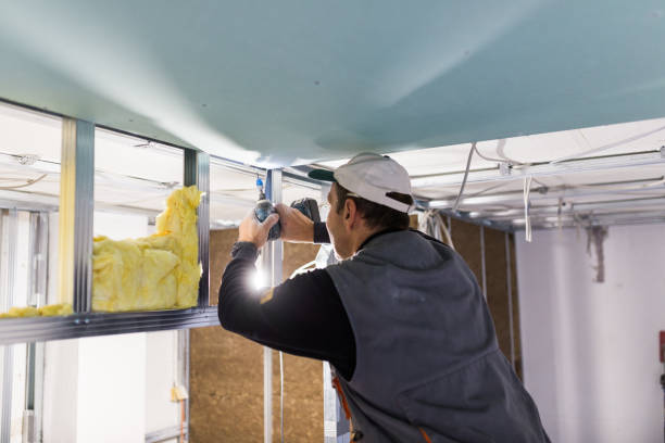 Best DIY Insulation Kits and Guidance in Worthington, MN